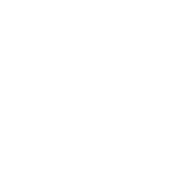 Bayer Cross Logo De
