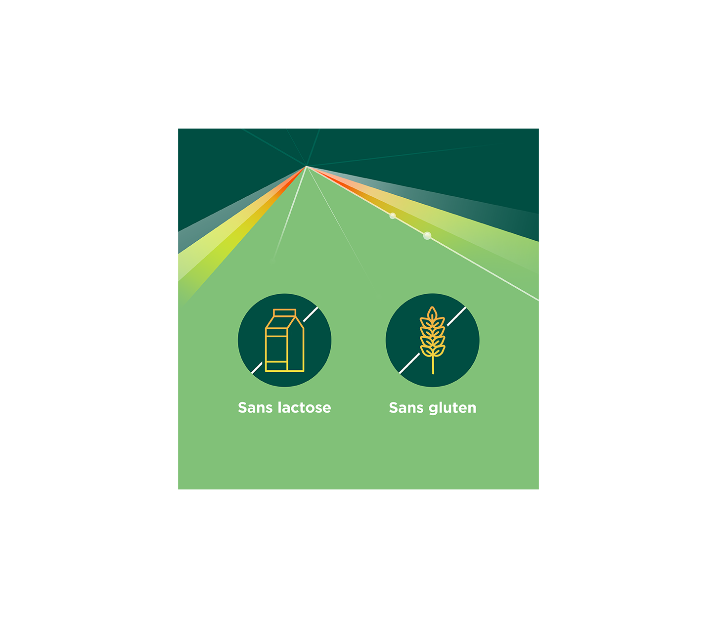 Berocca® PRO BRAIN sans lactose et sans gluten